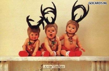 [img width=395 height=258]http://www.gocards.nl/ecards/ecards/719.jpg[/img]