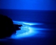 Blauwe zee