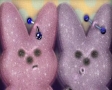 Paashaasjes