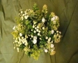 Bos bloemen