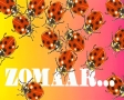 Zomaar