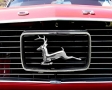 Rudolph als automerk