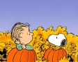 Snoopy met pompoen