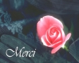 Merci