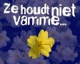 Ze houdt niet van me