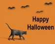 Zwarte kat en vleermuizen