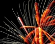 Vuurwerk