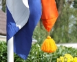 Vlag