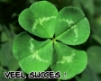 Veel succes