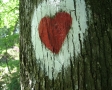 Hart Schieten