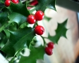 Happy Xmas