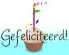 Taart met kaarsje