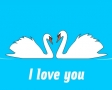 I love you