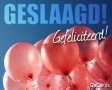 Geslaagd
