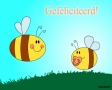 Gefeliciteerd