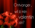 Wil jij mijn valentijn zijn