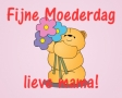 Fijne moederdag lieve mama