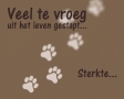 Veel te vroeg uit het leven gestapt
