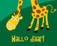 Hallo daar