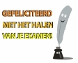 Gefeliciteerd met het halen van je examen!