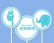 Het is een jongen!
