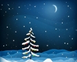 Kerstboom