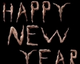 Happy new year