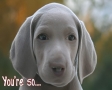 You're so