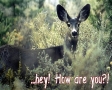 How are you?